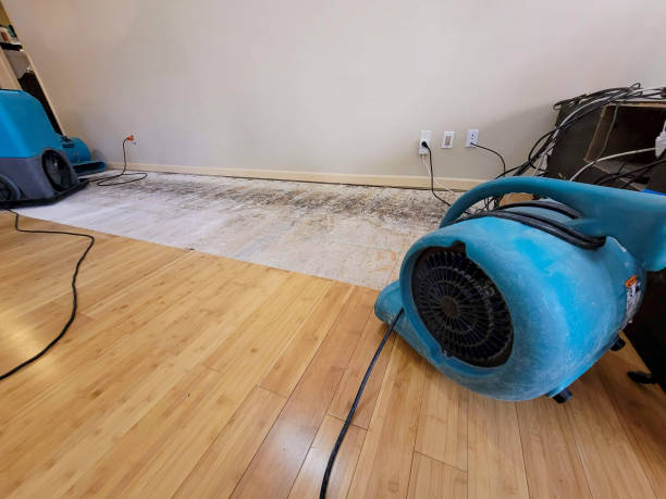 Professional Flood Damage Cleanup technician working in Mount Olive, NC